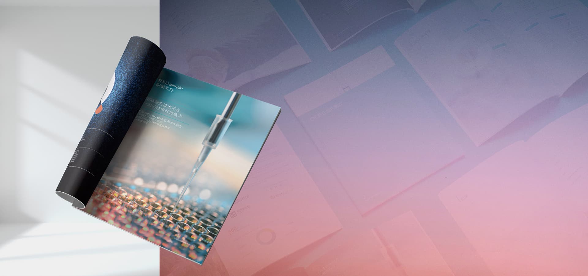 连云港高端高册设计